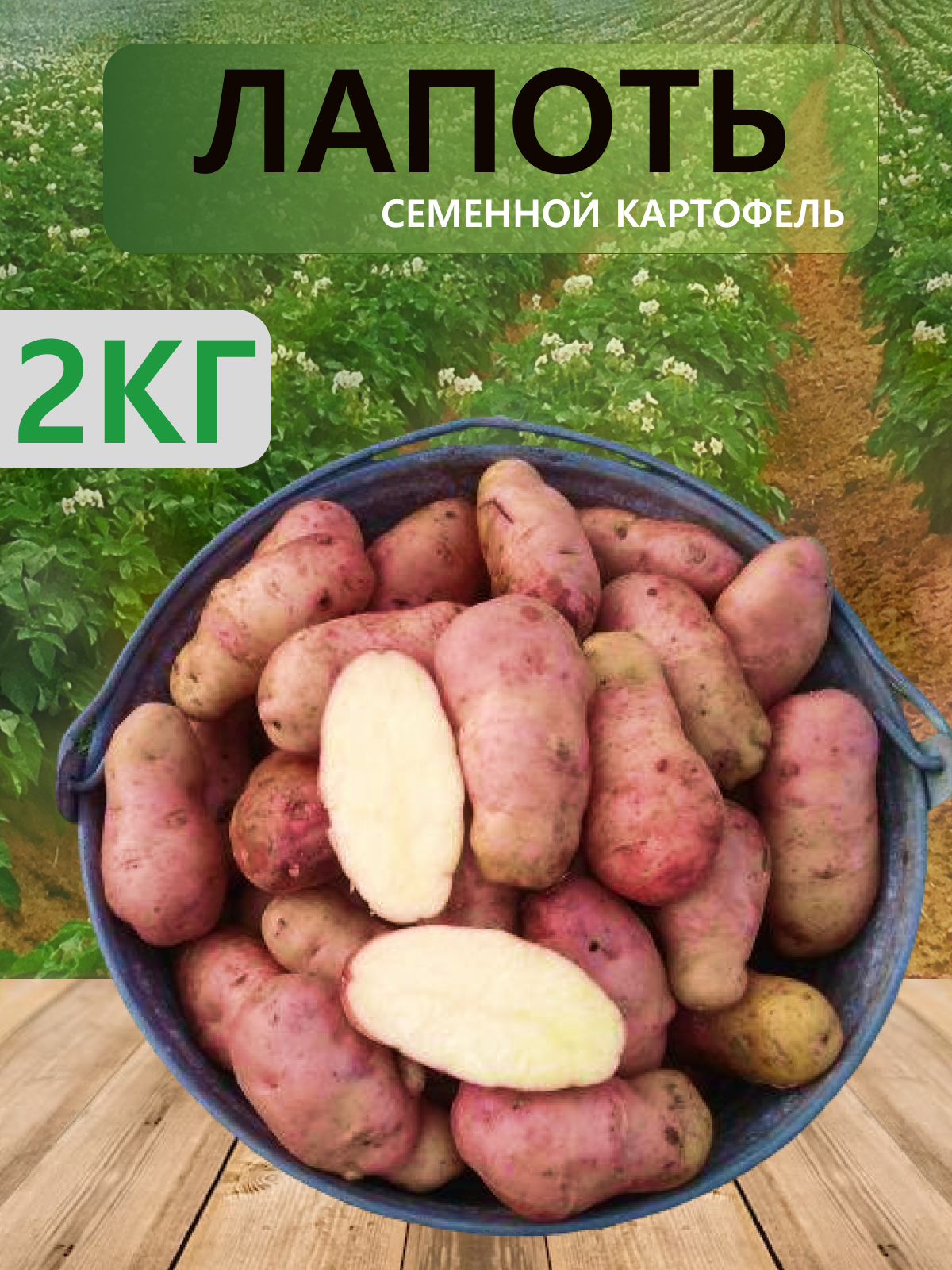 Семенной селекционный картофель Лапоть, репродукция Супер Элита, 2 кг