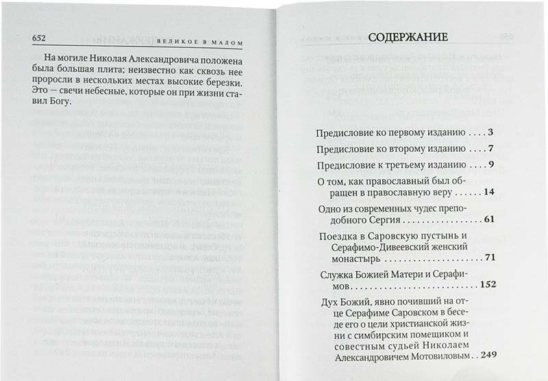 Нилус Сергей Александрович "Великое в малом" — фото 1