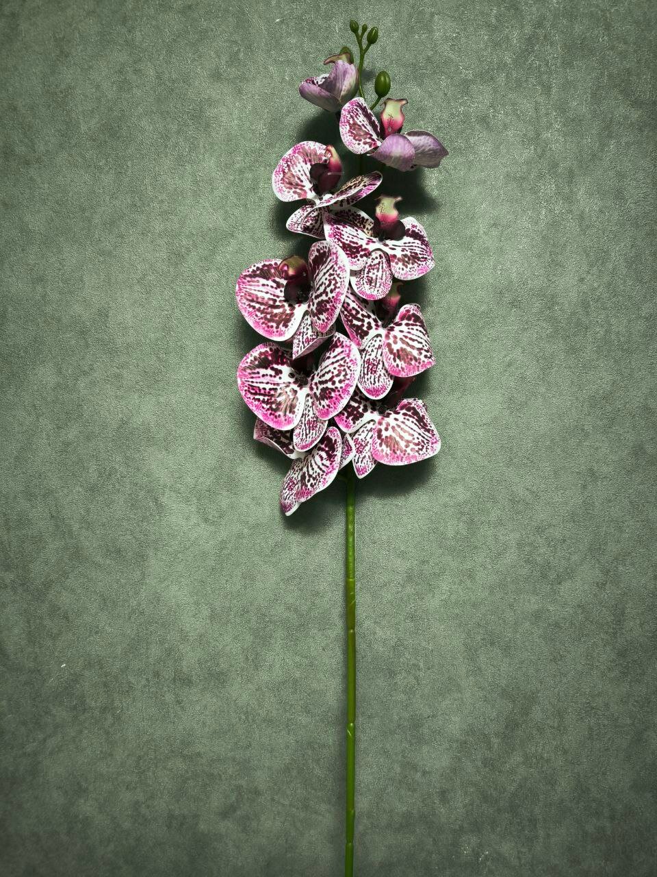 фото Орхидея реалистичная искусственная, 96 см, фиолетовая крапинка. силикон
