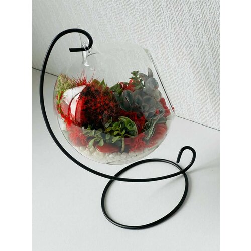 Флорариум на подвеске с зайчиком Комнатное растение Подарок 4690₽