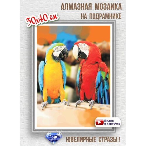 Алмазная мозаика на подрамнике 30х40, Премиум. Попугаи Ара алмазная мозаика на подрамнике 30х40 премиум маковый букет