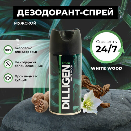 Дезодорант-спрей мужской Dilligen White Wood, 150мл