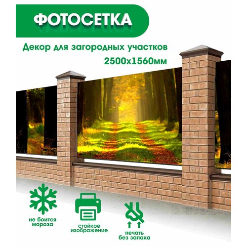 Фотосетка фотофасад декор забора беседки баннер 250х156см - 065 4750₽