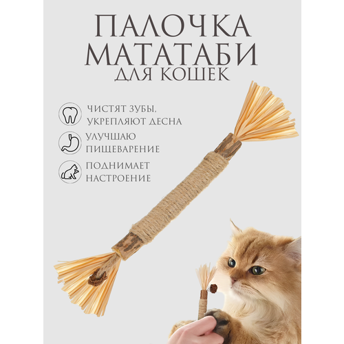 Натуральная игрушка для кошек для чистки зубов, палочка-дразнилка Мататаби для котят палочки мататаби для кошек pet stuff 5 штук