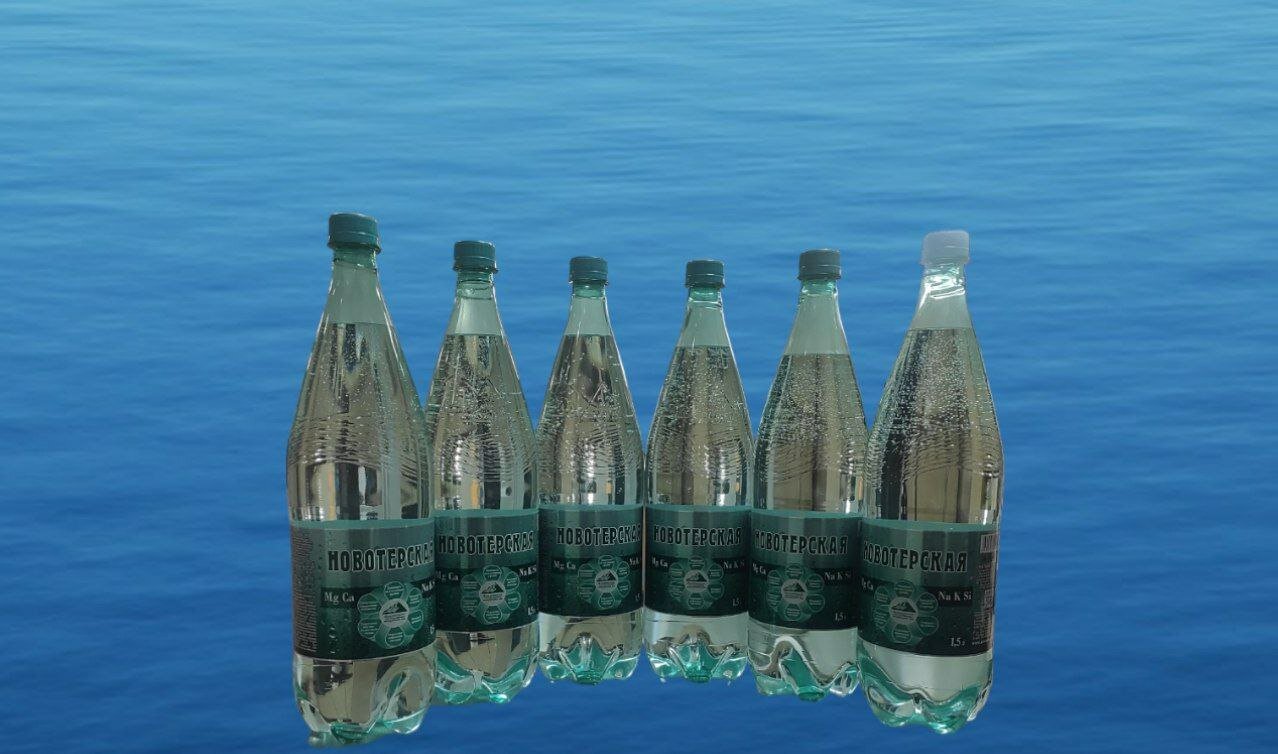 Вода Столовая Вода минеральная Новотерская газированная ПЭТ 1,5 л (6 штук в упаковке)