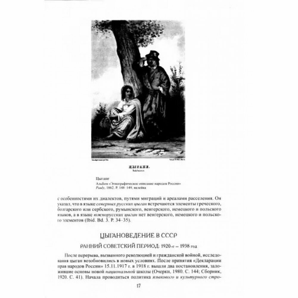 Цыгане (Смирнова-Сеславинская М. В., Цветков Г. Н., Махотина И. Ю.) - фото №6