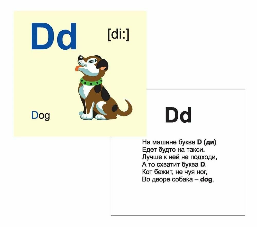 Английский алфавит. 32 красочных развивающих карточек для занятий с детьми. ДО - фото №8