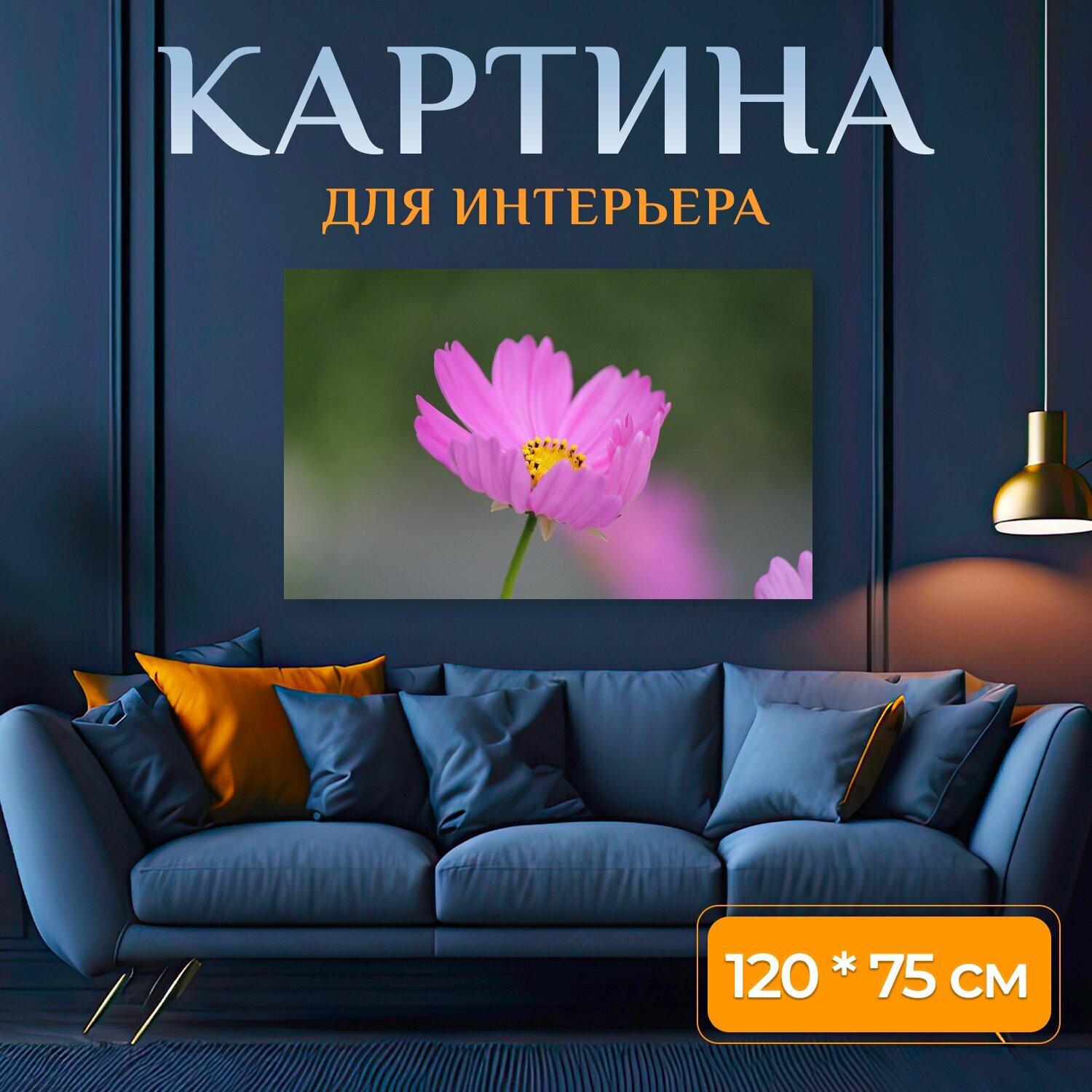 Картина на холсте "Цветок космоса, космос, цветок" на подрамнике 120х75 см. для интерьера