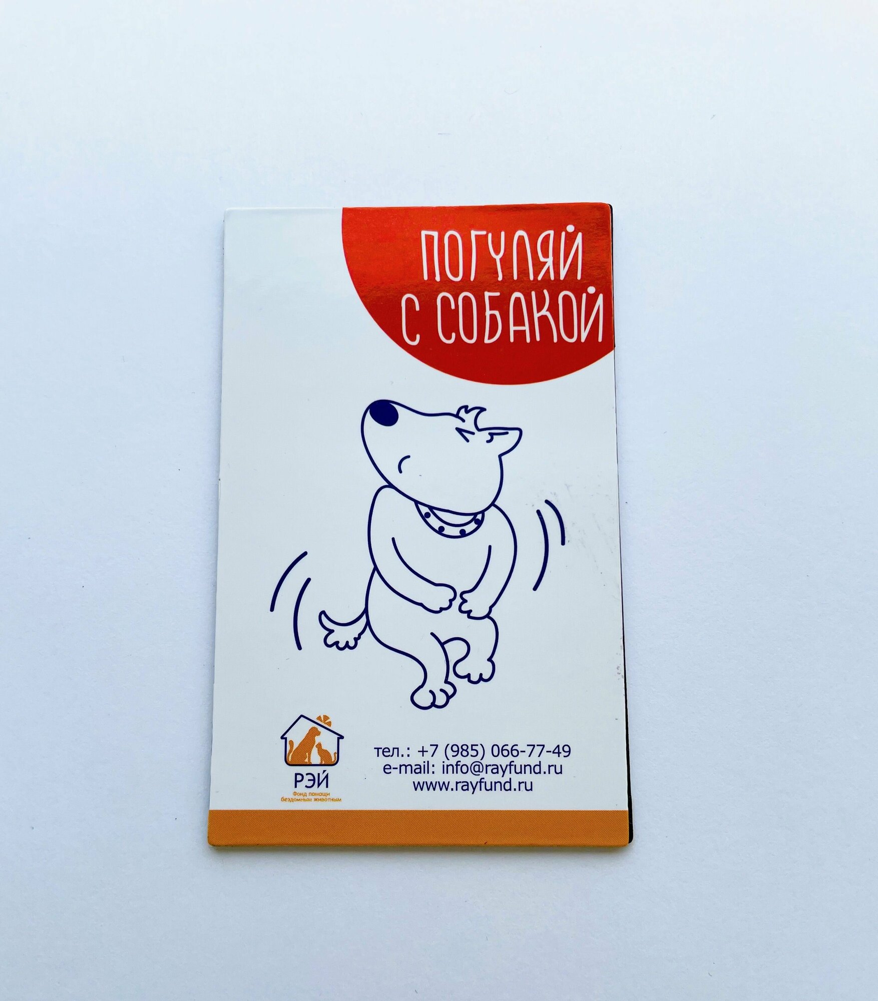 Магнит двусторонний "Собака погуляла/погуляй с собакой" - фонд РЭЙ — фото 1