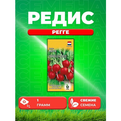 Редис Регге 1,0 г (Голландия)