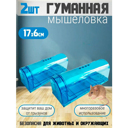 Мышеловка для мышей гуманная, 2 шт синяя синий