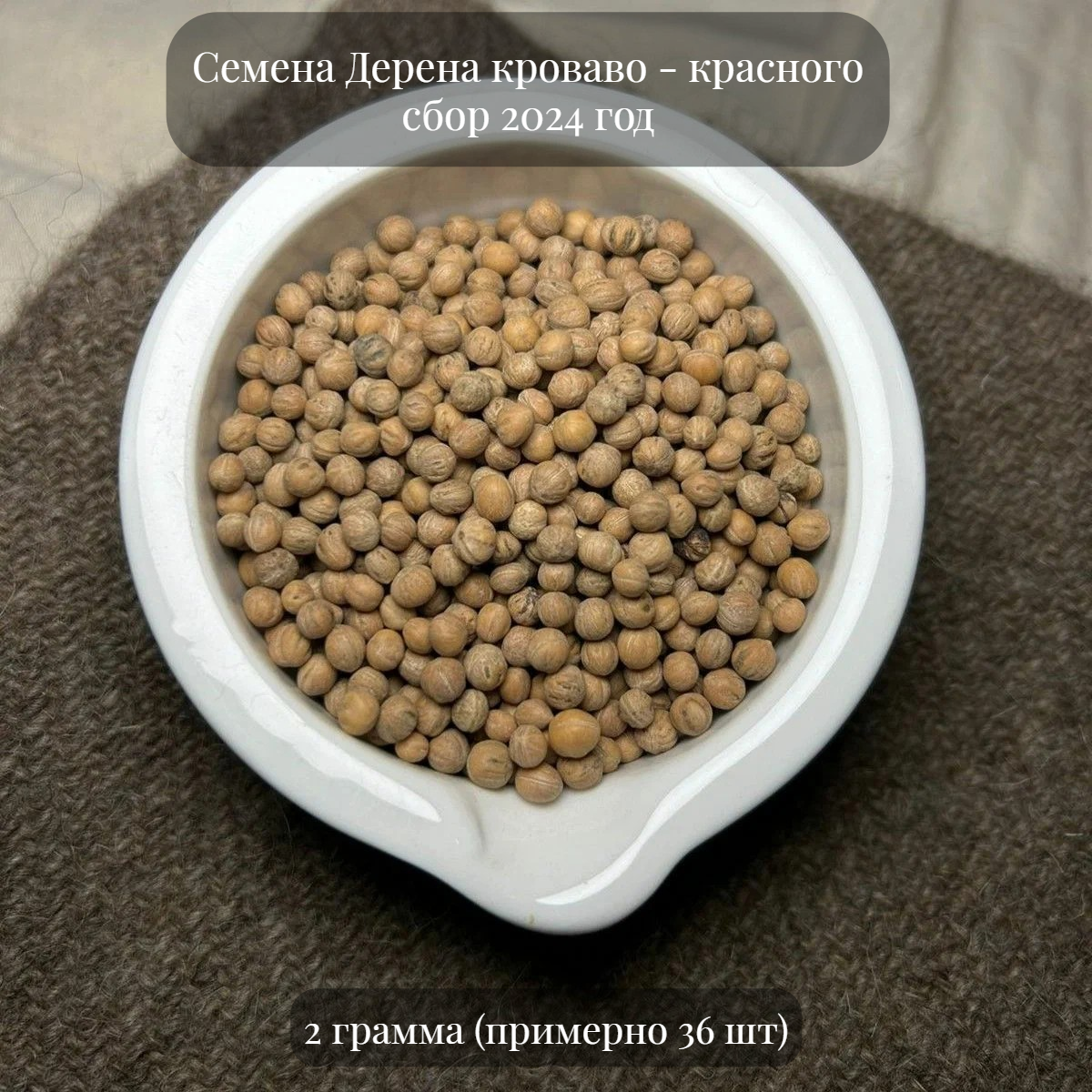 Семена Дерена кроваво-красного декоративного подходит для живой изгороди 2 грамма (примерно 36 шт)