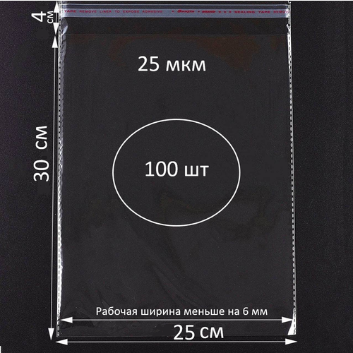 Упаковочные пакеты бопп с клеевым клапаном 25х30/4 см (100 шт)