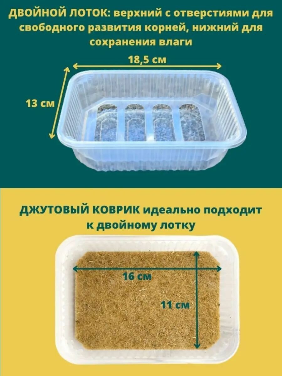 3 двойных лотка + 24 Джутовых коврика для выращивания микрозелени