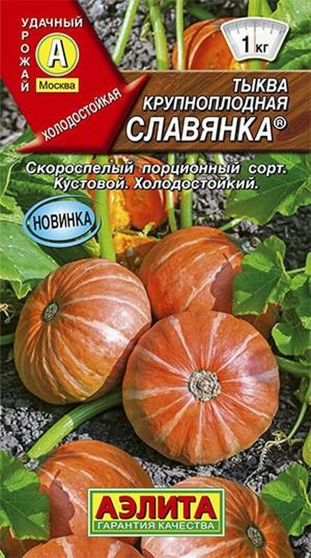 Семена Тыква Славянка (раннеспелый) (Аэлита) 1г