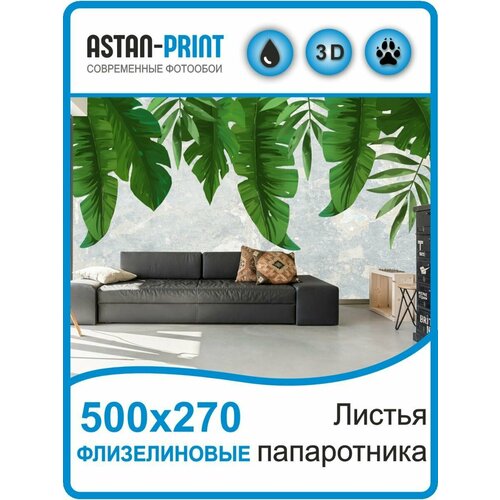 Флизелиновые фотообои Листья папаротника 500х270