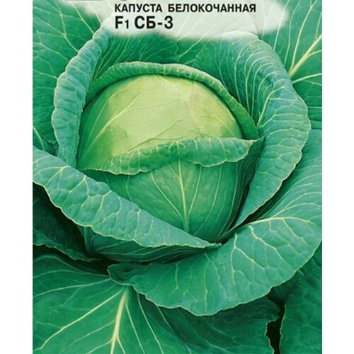 набор семян капусты белокочанной семко юбилейный 217 сб 3 Коллекционные семена капусты б/к среднеспелая СБ-3 F1