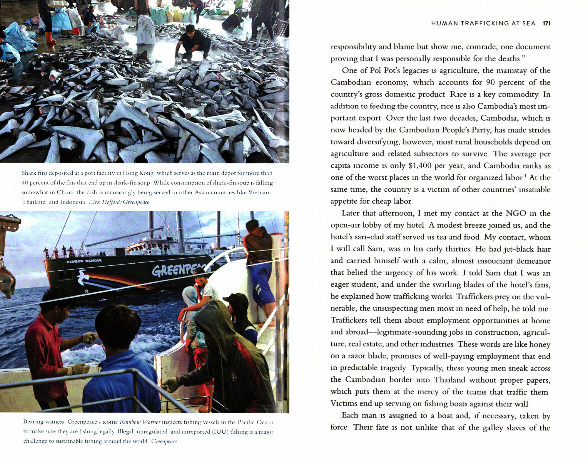 Emperors of the Deep. The Mysterious and Misunderstood World of the Shark - фото №2