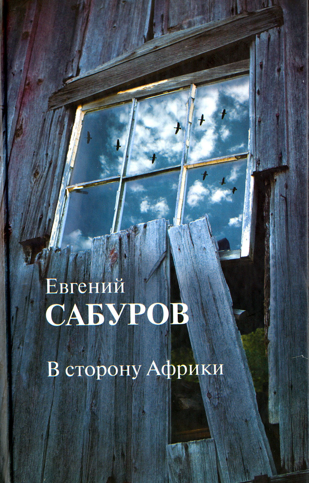 В сторону Африки. Стихотворения и поэмы - фото №2