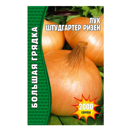 Лук репчатый Штудгартер Ризен 1,5 г редкие семена (2 упаковки в заказе) лук репчатый штутгартер ризен 1 гр б п