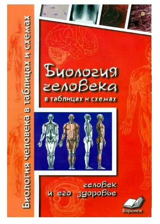 Биология человека в таблицах и схемах. Человек и его здоровье