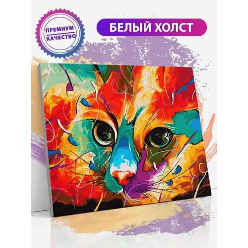 Картина по номерам на холсте с подрамником, Разноцветный кот, кошка, 40х50 см