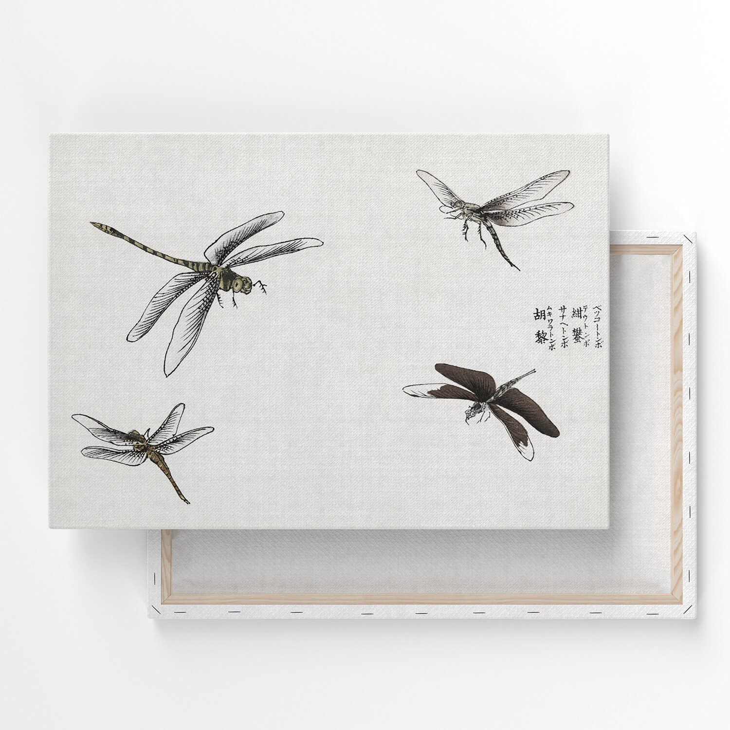 Картина на холсте, репродукция / Моримото Токо - Стрекозы / Размер 30 x 40 см