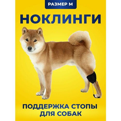 Поддержка стопы, ноклинги на задние лапы для собак. От слабости в лапах, перелома, артрита. Размер M
