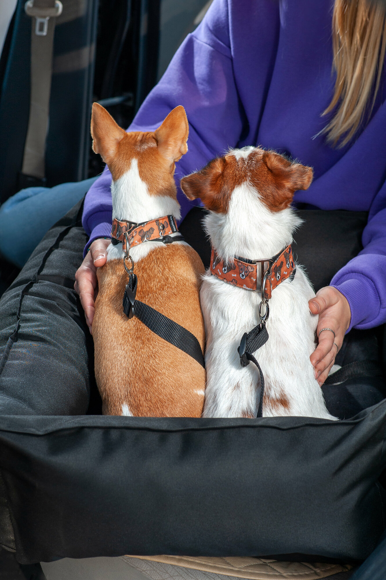 Автокресло для перевозки животных собак средних и мелких пород на заднее сиденье - фотография № 7