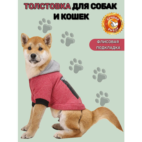 Толстовка для собак мелких, средних и крупных пород, кошек, котов. Худи для собак и кошек. Кофта. Одежда для животных. Красная-Размер-M