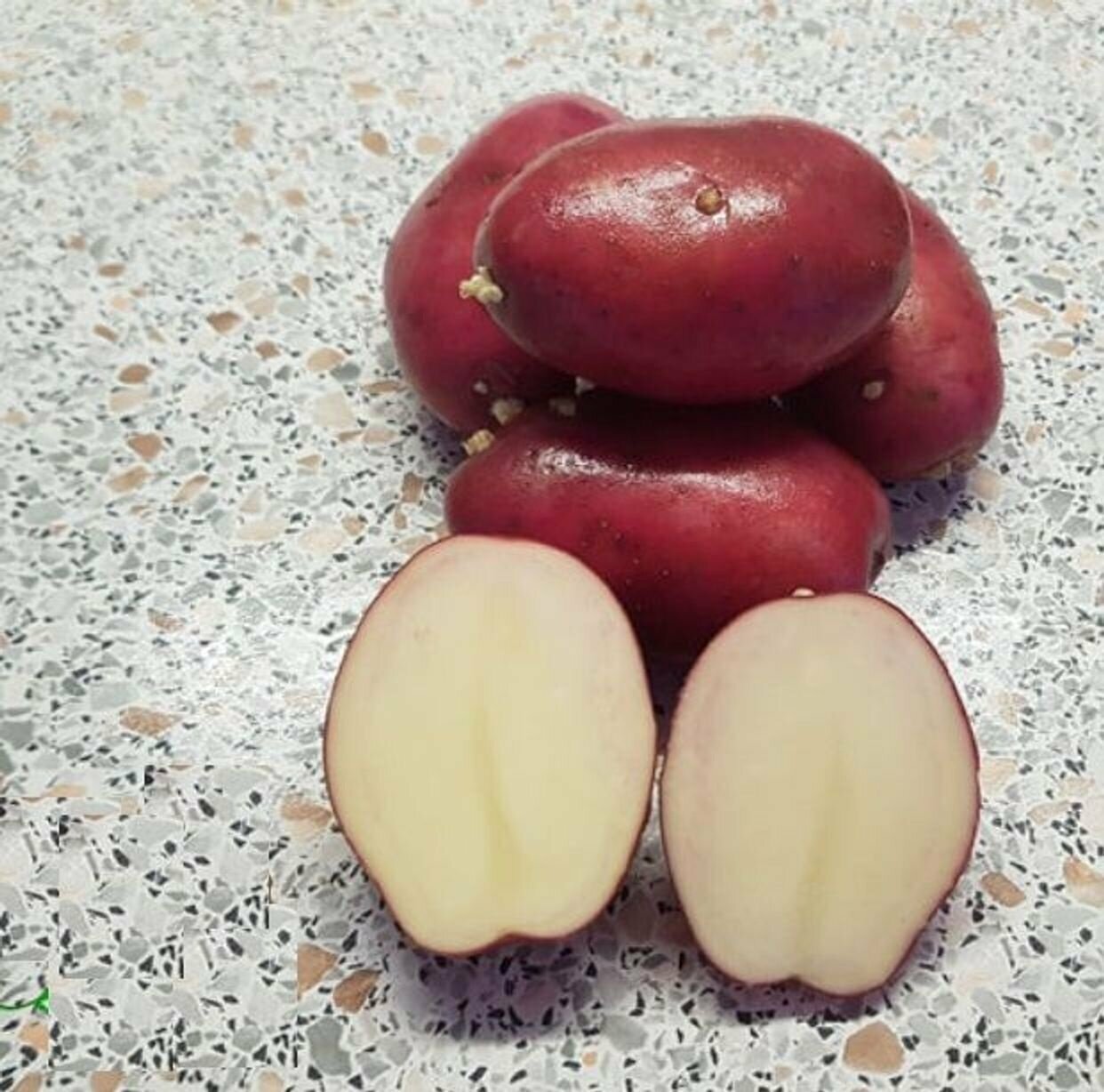 Семенной картофель Аляска, 2 кг, селекционный сорт с высоким показателем товарности плодов, с устойчивостью к болезням, с прекрасными вкусовыми характеристиками