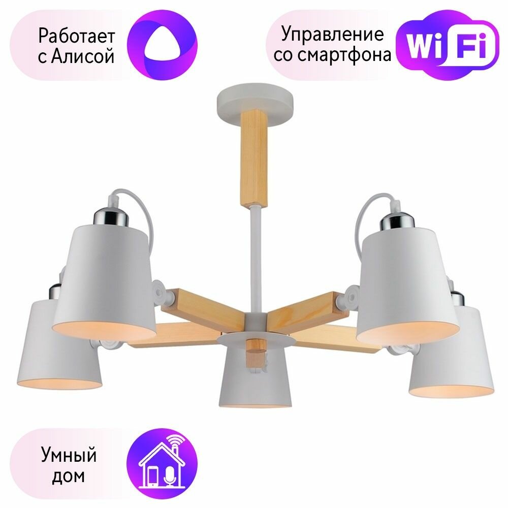 Потолочная люстра Arte Lamp с поддержкой Алиса A7141PL-5WH-A - фото №1