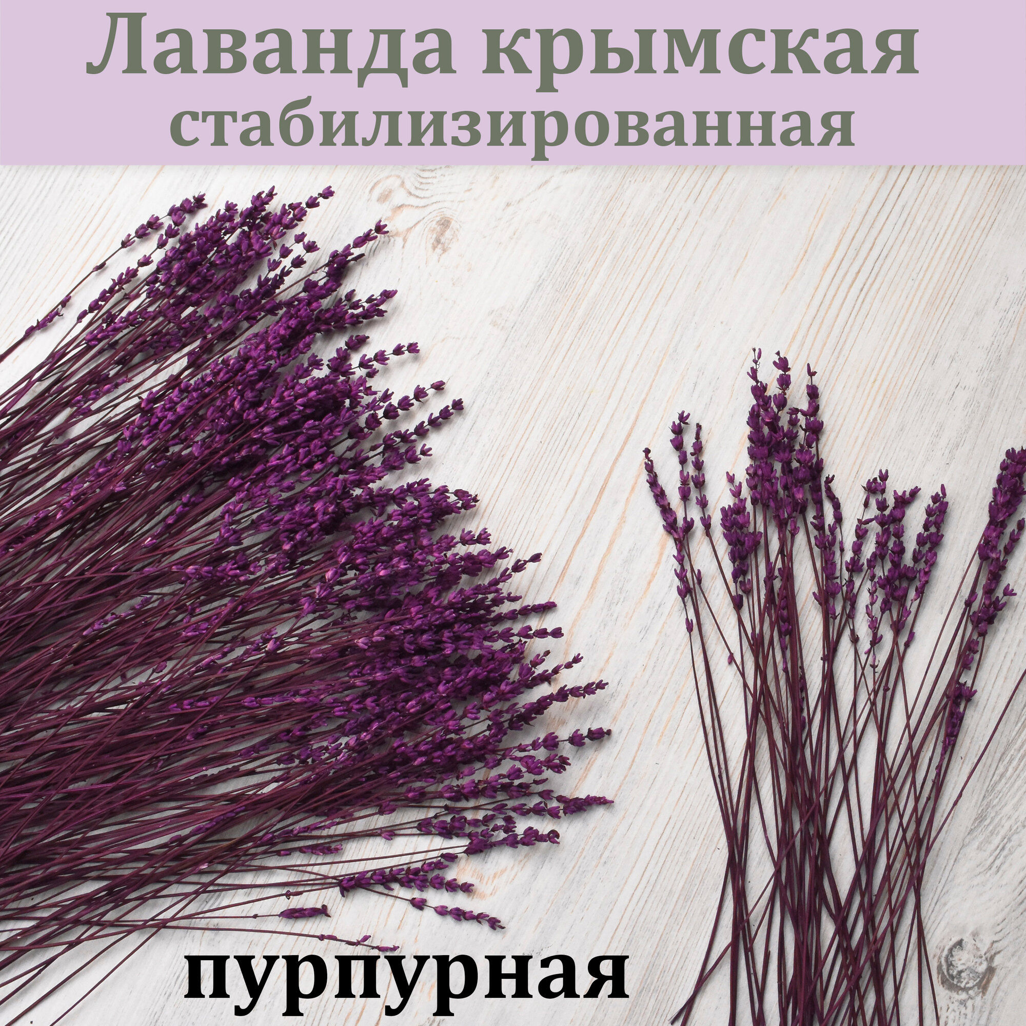 Лаванда крымская стабилизированная 30 см. / Букет из лаванды