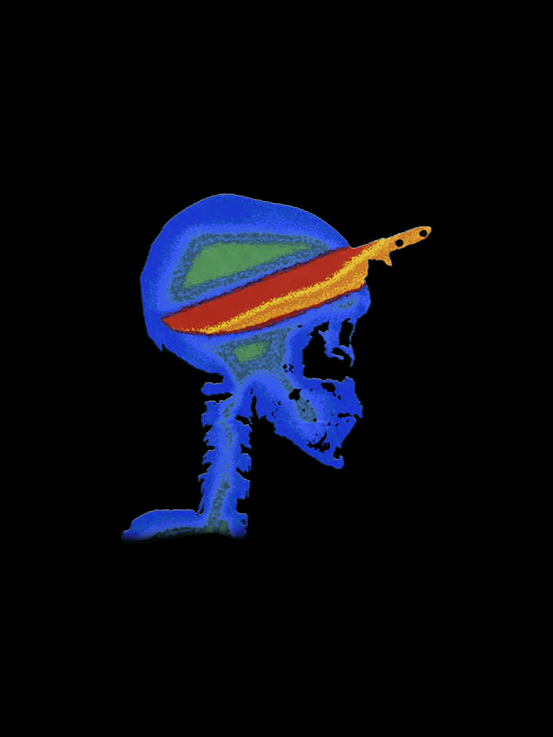 Худи Bloom Century, размер L, , черный — фото 1