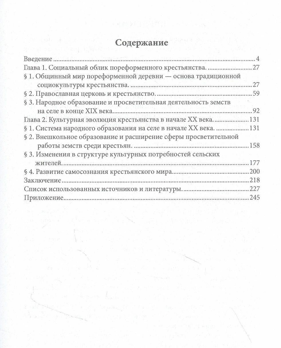 Социокультурные изменения в российской деревне в 1861—1914 гг. - фото №3