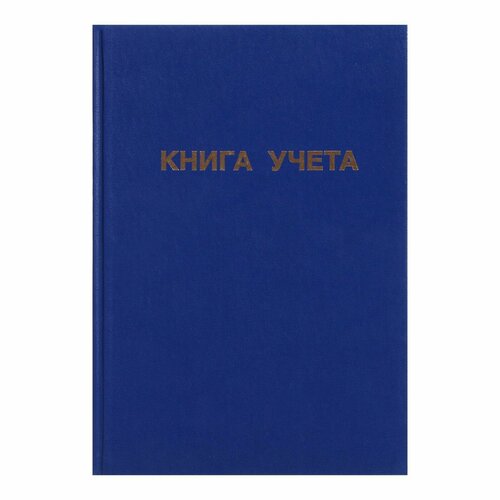 Книга учета, 96 листов, обложка бумвинил, блок офсет, линия, цвет синий голубой, желтый, розовый, синий, красный, черный, белый