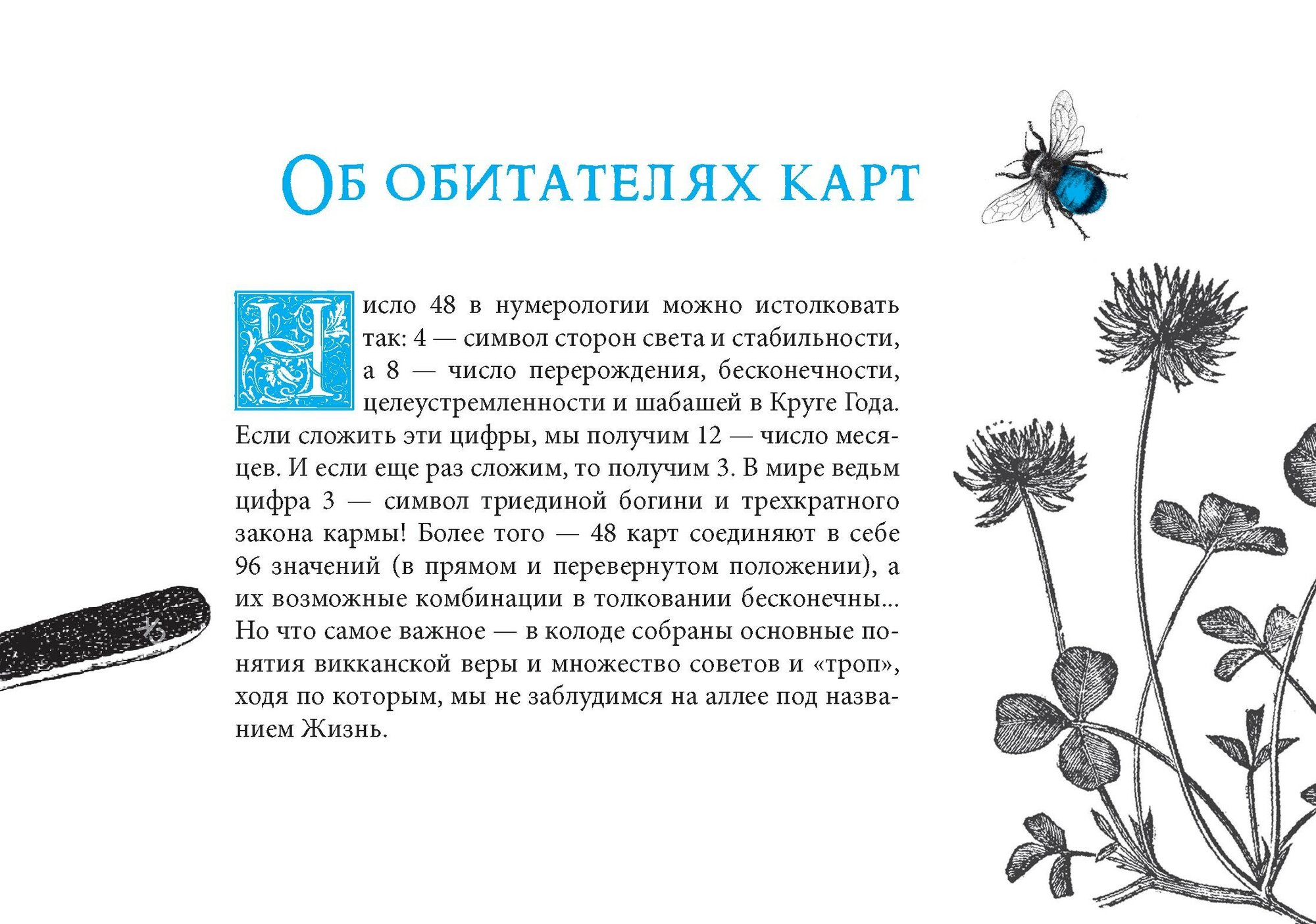 Викканский Оракул Теней. Заклинание Луны, ритуалы Солнца (48 карт + брошюра) - фото №5