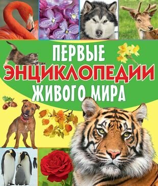 Первые энциклопедии живого мира: Большие кошки. Домашние животные. Птицы. Растения (комплект из 4 книг) - фото №2