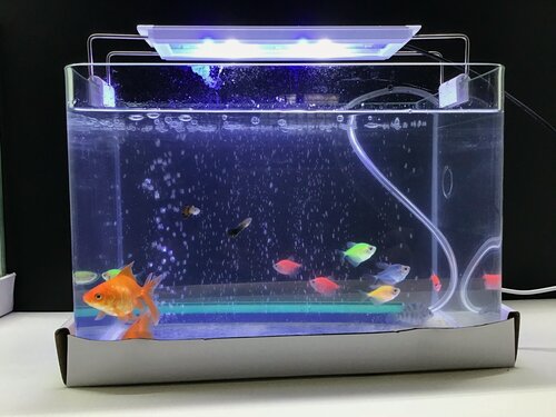 Изображение товара Аквариумный Светодиодный светильник S600 Multi-Color 24 Вт