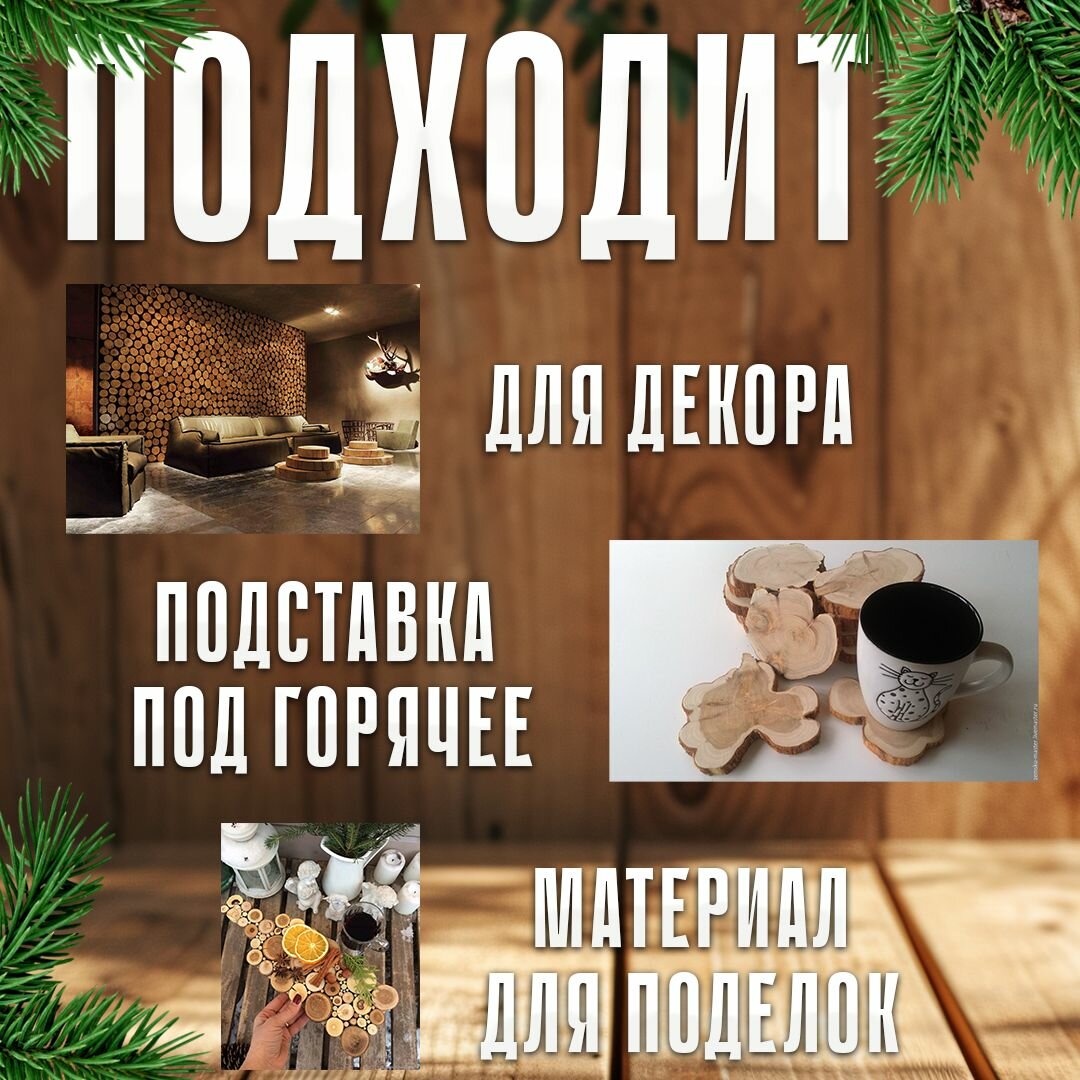 Картинки Материал для творчества спилы можжевельника