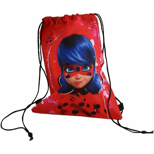 Леди Баг Мешок для обуви Краснасная коллекция 714₽