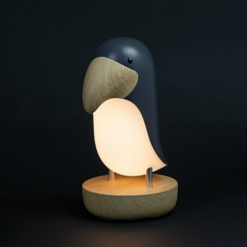 Светильник настольный 24 Вт детский абажур черный JazzWay JS5-TOCO-BK 5048133 Тукан USB 3000 К 2417₽