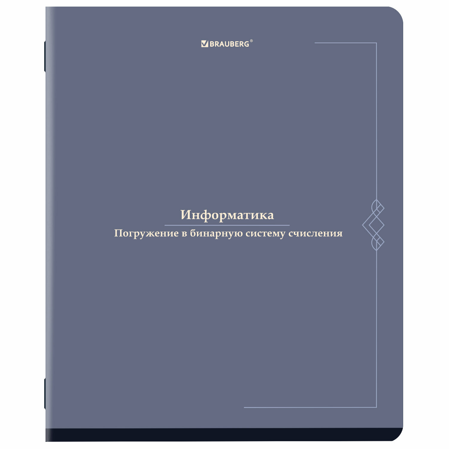 Тетрадь предметная VINTAGE 48 л, SoftTouch, информатика, клетка, подсказ, BRAUBERG, 405154