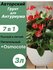 Грунт для Антуриума 3л готовый