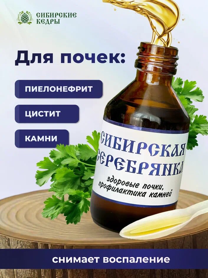 Бальзам Сибирская серебрянка при заболеваниях почек и мочевого пузыря для растворения камней в почках от цистита 50 мл