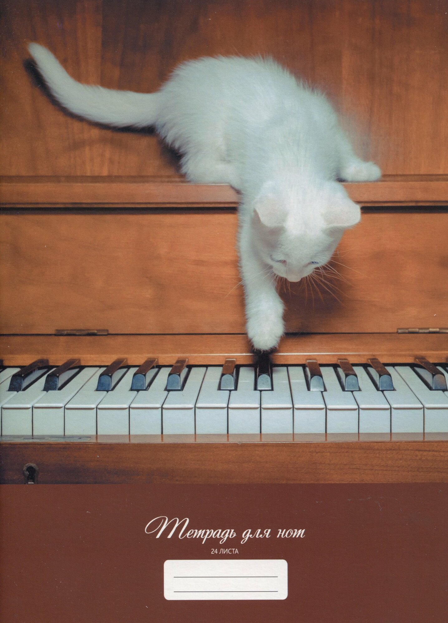 Тетрадь для нот Listoff "Ученик" А4 24 листа