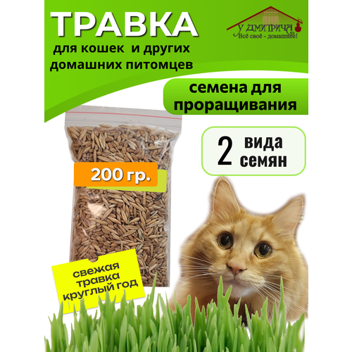 Травка для кошек семена, 200 г, и других домашних животных