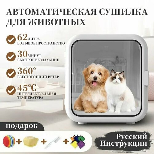 Автоматическая сушилка для животных, объем 62 литра, интеллектуальный контроль температуры, сушка на 360 градусов，С успокаивающим окном.