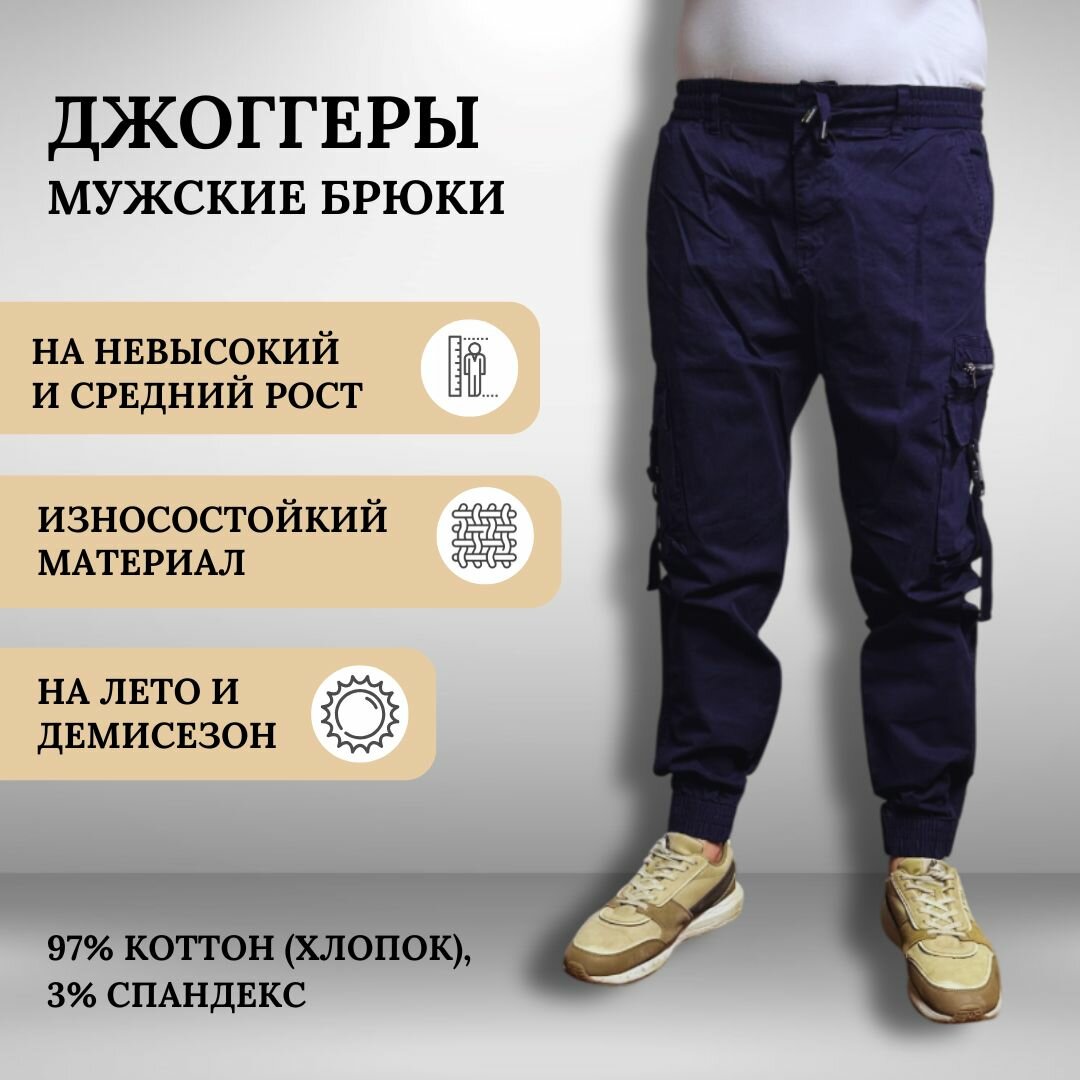 Брюки джоггеры AIGULA