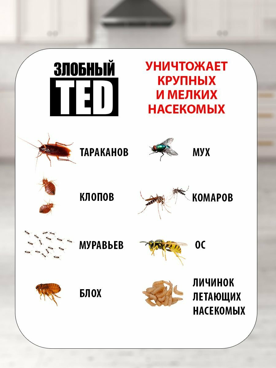 Спрей от насекомых клопов, блох, мух, тараканов, отрава "Злобный тэд", 200 мл — фото 1